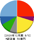 ソフトマックス 貸借対照表 2020年12月期 ソフトマックス 貸借対照表 2020年12月期