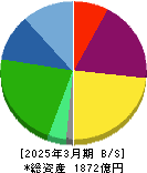 メニコン 貸借対照表 2025年3月期 メニコン 貸借対照表 2025年3月期