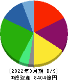 大王製紙 貸借対照表 2022年3月期 大王製紙 貸借対照表 2022年3月期