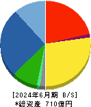 Ａ＆Ｄホロンホールディングス 貸借対照表 2024年6月期