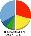 ステムセル研究所 貸借対照表 2022年3月期 ステムセル研究所 貸借対照表 2022年3月期