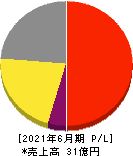 AmidAホールディングス 損益計算書 2021年6月期 AmidAホールディングス 損益計算書 2021年6月期