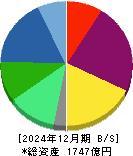 ツバキ・ナカシマ 貸借対照表 2024年12月期