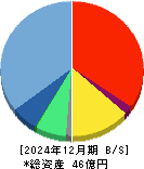 ｉ－ｐｌｕｇ 貸借対照表 2024年12月期