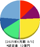 ＡＶＩＬＥＮ 貸借対照表 2025年6月期