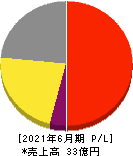 データホライゾン 損益計算書 2021年6月期 データホライゾン 損益計算書 2021年6月期