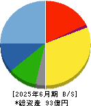 サイタホールディングス 貸借対照表 2025年6月期