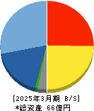メディックス 貸借対照表 2025年3月期 メディックス 貸借対照表 2025年3月期