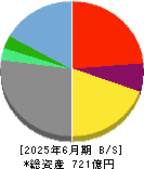 アニコム　ホールディングス 貸借対照表 2025年6月期