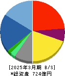 アニコム　ホールディングス 貸借対照表 2025年3月期