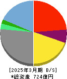アニコム　ホールディングス 貸借対照表 2025年3月期