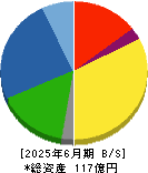 特殊電極 貸借対照表 2025年6月期