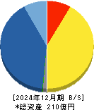 マーキュリアホールディングス 貸借対照表 2024年12月期