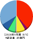 ｉ－ｐｌｕｇ 貸借対照表 2024年9月期