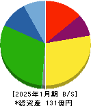 日本スキー場開発 貸借対照表 2025年1月期