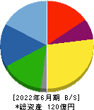 セフテック 貸借対照表 2022年6月期