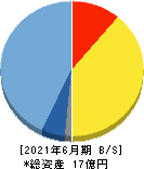 ビーブレイクシステムズ 貸借対照表 2021年6月期 ビーブレイクシステムズ 貸借対照表 2021年6月期