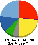 ソフトマックス 貸借対照表 2024年12月期