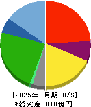 さくらインターネット 貸借対照表 2025年6月期