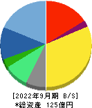 インテリジェント　ウェイブ 貸借対照表 2022年9月期