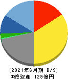 サンネクスタグループ 貸借対照表 2021年6月期 サンネクスタグループ 貸借対照表 2021年6月期