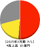 ユビキタスAI 損益計算書 2025年3月期 ユビキタスAI 損益計算書 2025年3月期
