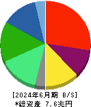ＮＴＴデータグループ 貸借対照表 2024年6月期
