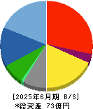 ステムセル研究所 貸借対照表 2025年6月期