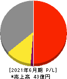 ブロードバンドセキュリティ 損益計算書 2021年6月期 ブロードバンドセキュリティ 損益計算書 2021年6月期
