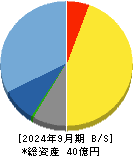 ディジタルメディアプロフェッショナル 貸借対照表 2024年9月期