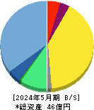 グッドパッチ 貸借対照表 2024年5月期