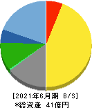 タウンニュース社 貸借対照表 2021年6月期 タウンニュース社 貸借対照表 2021年6月期
