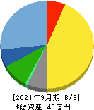 東和ハイシステム 貸借対照表 2021年9月期