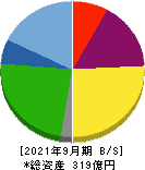 アンビスホールディングス 貸借対照表 2021年9月期 アンビスホールディングス 貸借対照表 2021年9月期