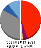 プロクレアホールディングス 貸借対照表 2024年3月期 プロクレアホールディングス 貸借対照表 2024年3月期