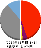 プロクレアホールディングス 貸借対照表 2024年12月期