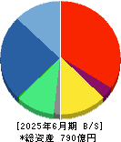 ネットプロテクションズホールディングス 貸借対照表 2025年6月期