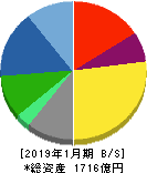 ダイドーグループホールディングス 貸借対照表 2019年1月期 ダイドーグループホールディングス 貸借対照表 2019年1月期