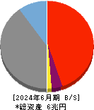 プロクレアホールディングス 貸借対照表 2024年6月期 プロクレアホールディングス 貸借対照表 2024年6月期