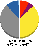夢みつけ隊 貸借対照表 2025年6月期