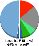 システム・ロケーション 貸借対照表 2022年3月期 システム・ロケーション 貸借対照表 2022年3月期