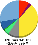 プロジェクトカンパニー 貸借対照表 2022年6月期