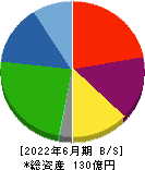 ファイバーゲート 貸借対照表 2022年6月期