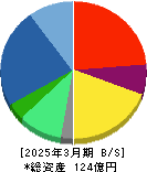 レカム 貸借対照表 2025年3月期