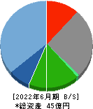 タウンニュース社 貸借対照表 2022年6月期 タウンニュース社 貸借対照表 2022年6月期