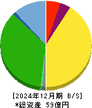 エコナックホールディングス 貸借対照表 2024年12月期