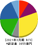 スカパーJSATホールディングス 貸借対照表 2021年3月期 スカパーJSATホールディングス 貸借対照表 2021年3月期