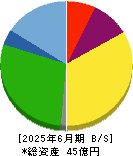 ラクサス・テクノロジーズ 貸借対照表 2025年6月期