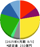 ニッキ 貸借対照表 2025年6月期