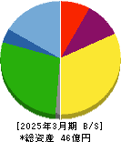 ラクサス・テクノロジーズ 貸借対照表 2025年3月期 ラクサス・テクノロジーズ 貸借対照表 2025年3月期